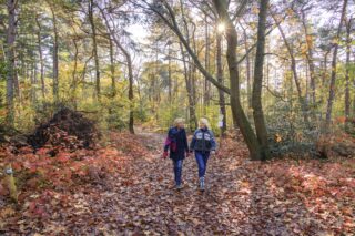 Uitgelicht: mogelijkheden voor bestemmingen